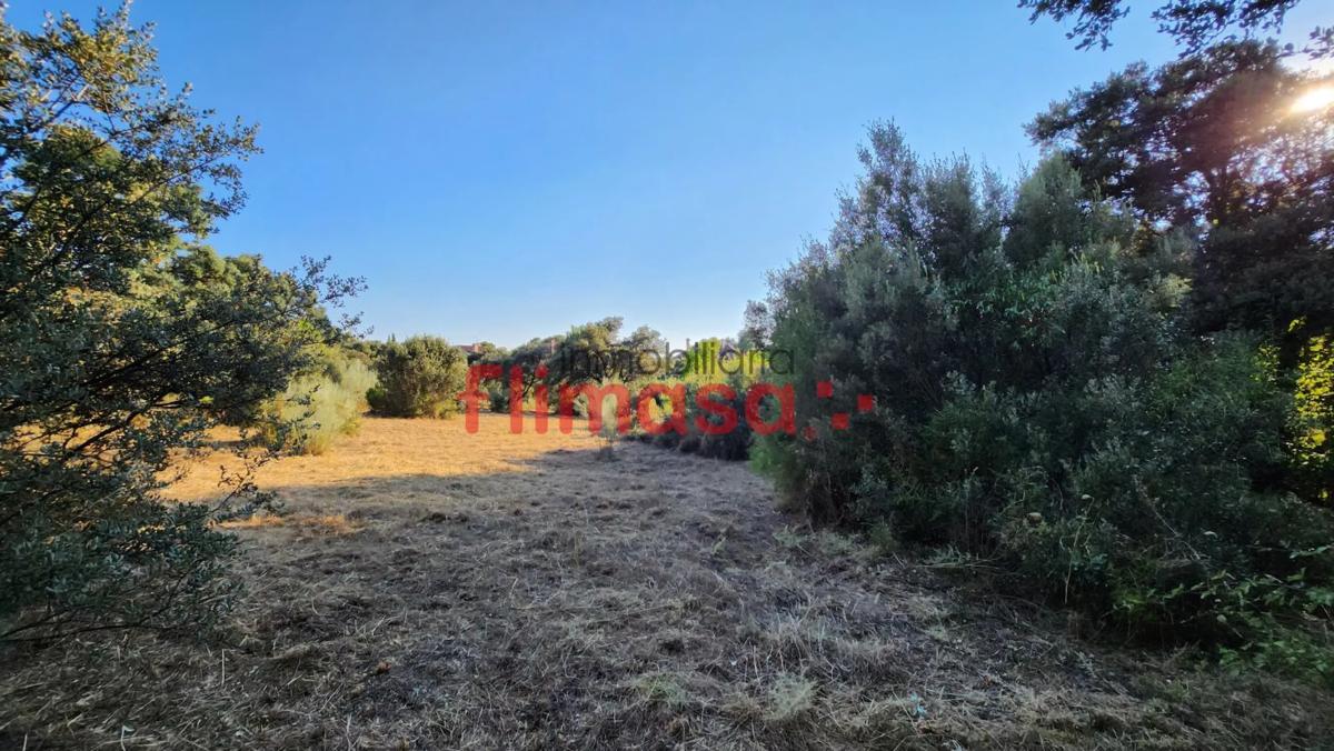 Участок земли на продажу в Виллависиоса де Одон, Мадрид photo 2
