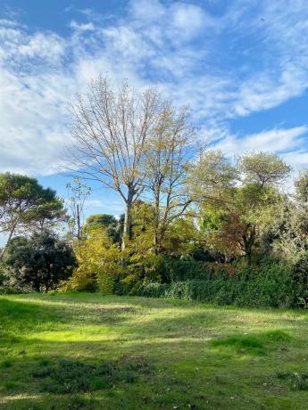 Terreno en Ter photo 3