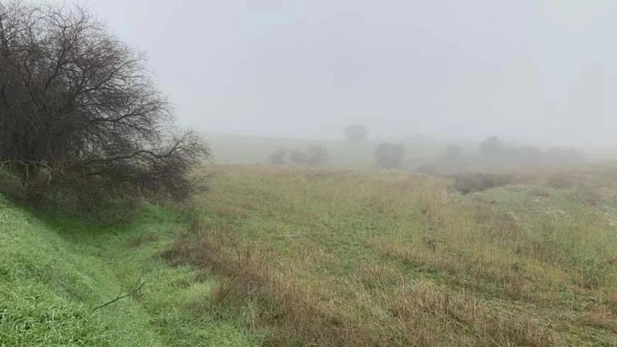 Land for sale in Villaviciosa de Odón, Madrid photo 3