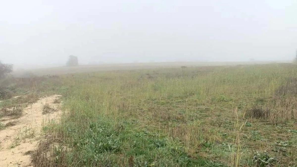 Land for sale in Villaviciosa de Odón, Madrid photo 4