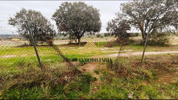 Terreno en 829v+gm s/n photo 2