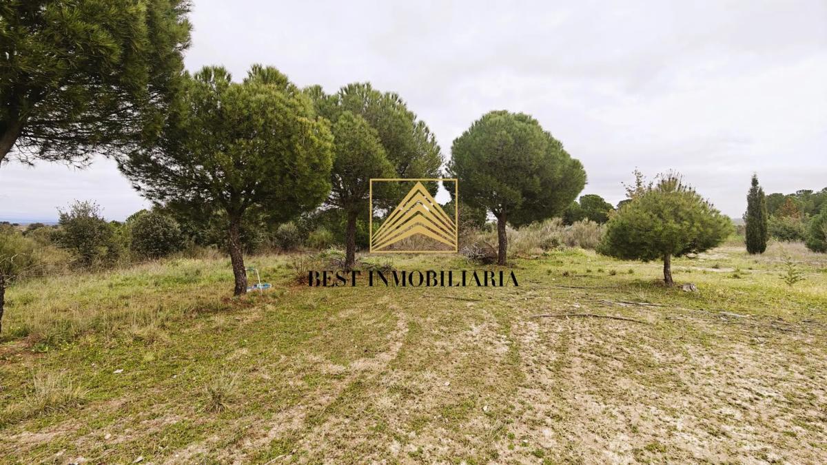 Land for sale in Villaviciosa de Odón, Madrid photo 3