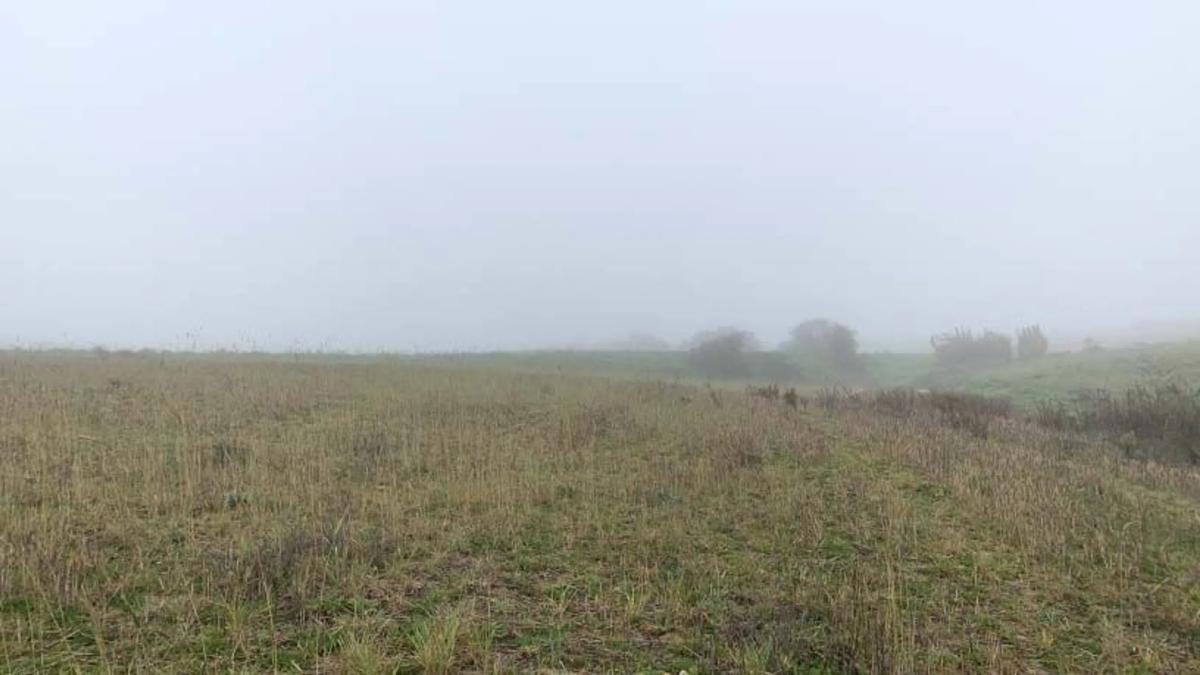 Działka na sprzedaż w Villaviciosa de Odón, Madryt photo 2