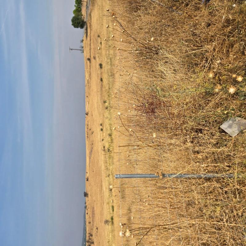Участок земли на продажу в Педрезуэла, Мадрид photo 3