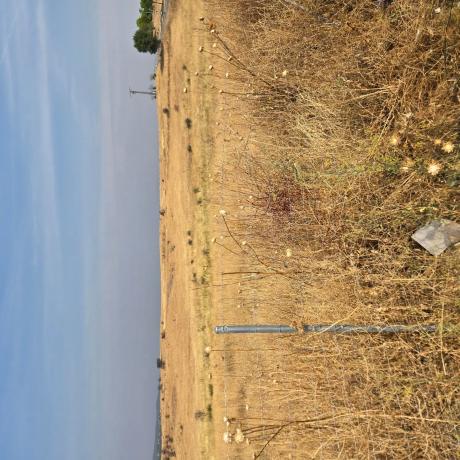 Terreno en via poligono 4 parcel 799 s/n photo 3
