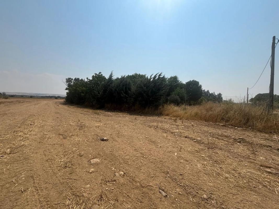 Działka na sprzedaż w Talamanca de Jarama, Madryt photo 4