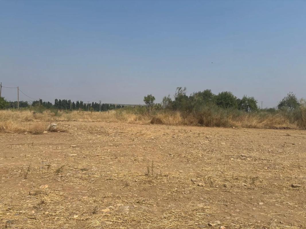 Działka na sprzedaż w Talamanca de Jarama, Madryt photo 5