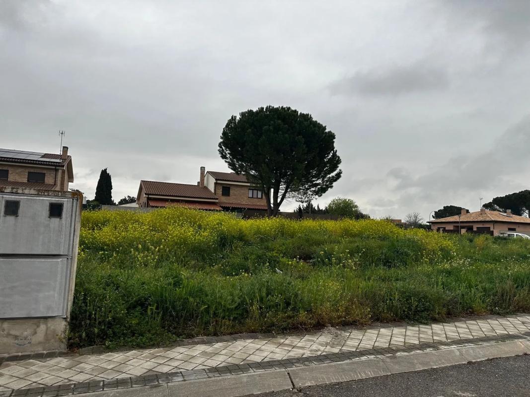 Land for sale in Fuente el Saz de Jarama, Madrid photo 2