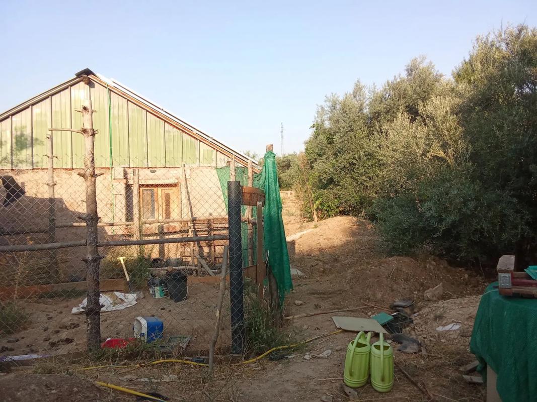 Terreno en venta en Torrelaguna, Madrid photo 3