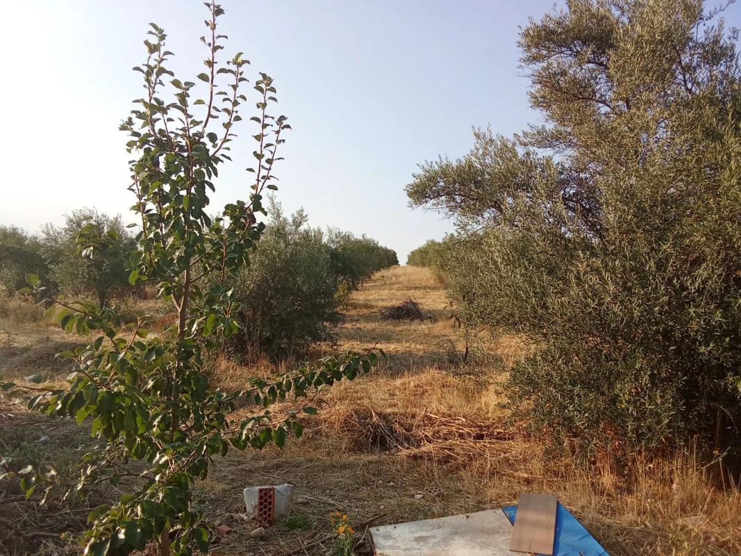 Terreno en venta en Torrelaguna, Madrid photo 4