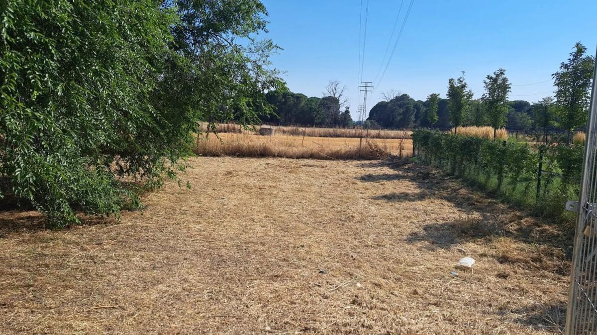 Terreno en venta en Fuente el Saz de Jarama, Madrid photo 1