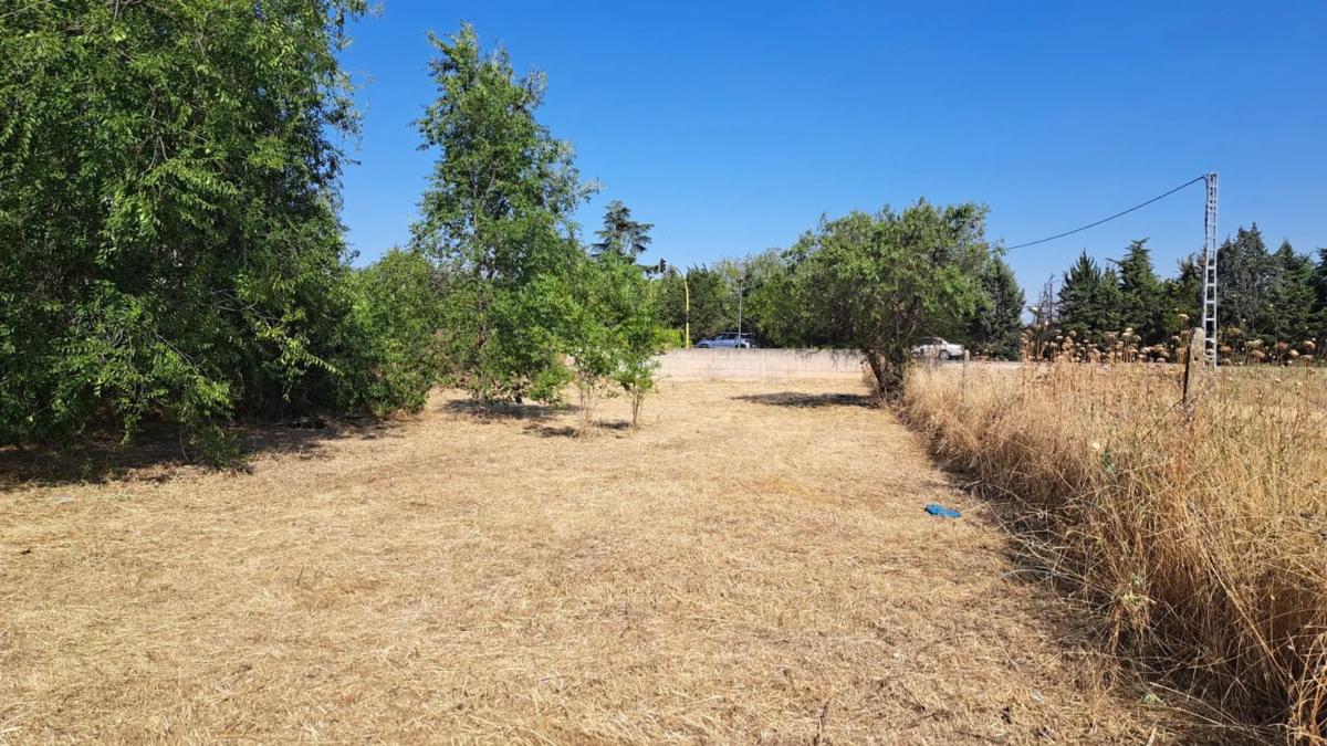 Terreno en venta en Fuente el Saz de Jarama, Madrid photo 3