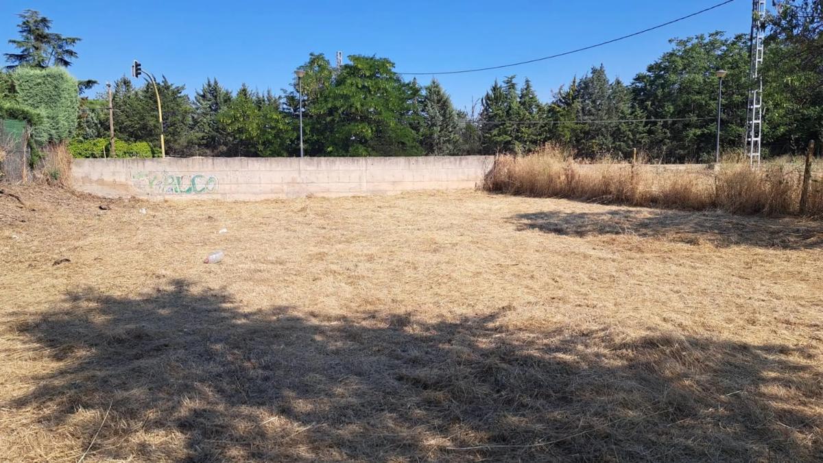 Terreno en venta en Fuente el Saz de Jarama, Madrid photo 4