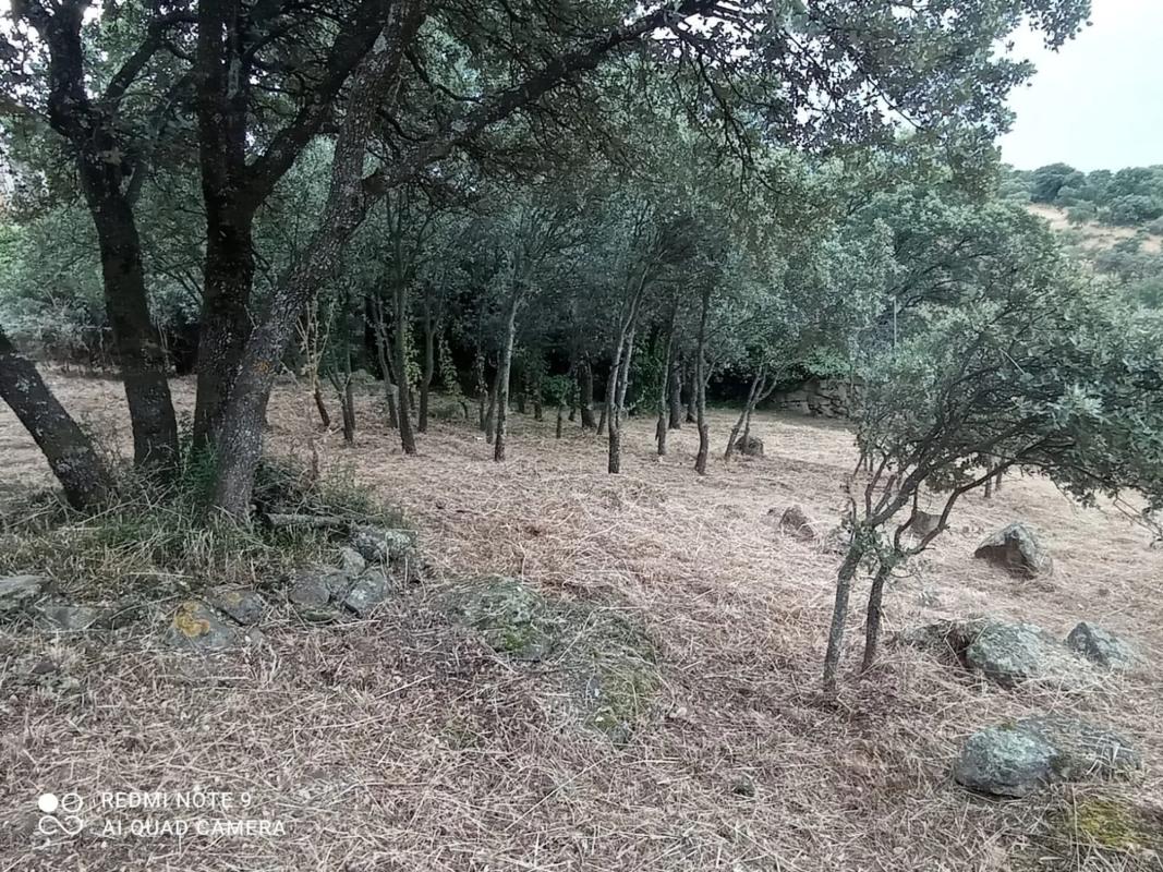 Działka na sprzedaż w Cotos de Monterrey, Madryt photo 3