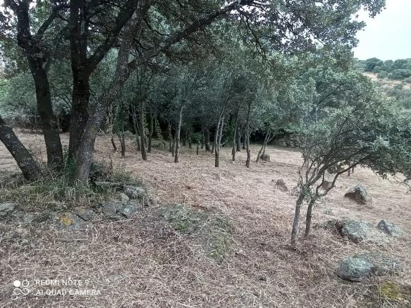 Terreno en calle Puerto del Nevero, 7 photo 3