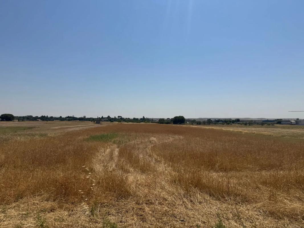 Terreno en venta en Fuente el Saz de Jarama, Madrid photo 3