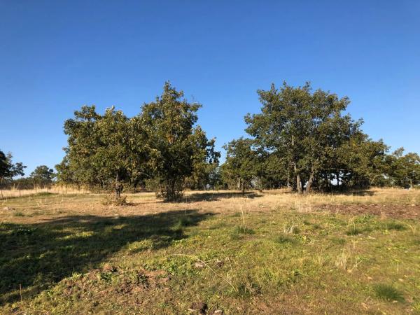Terreno en Manzanares el Real photo 1