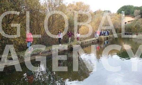 Terreno en Manzanares el Real photo 1