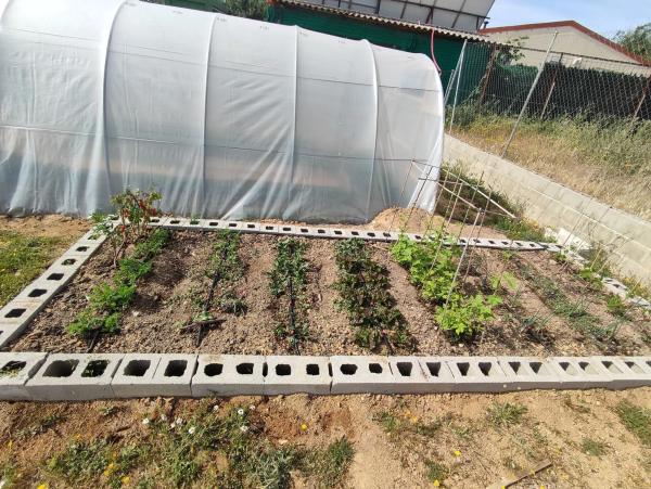 Terreno en Finca el Rondelo s/n thumbnail 1