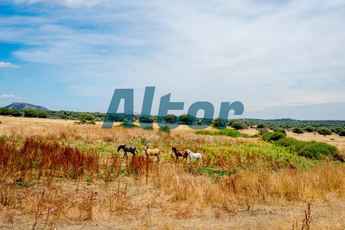 Terreno en venta en Manzanares el Real, Madrid photo 4