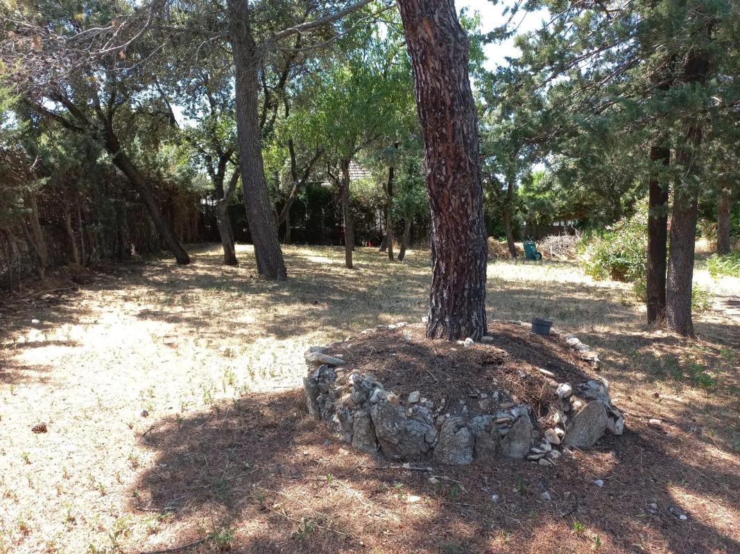 Terreno en venta en Cotos de Monterrey, Madrid photo 4