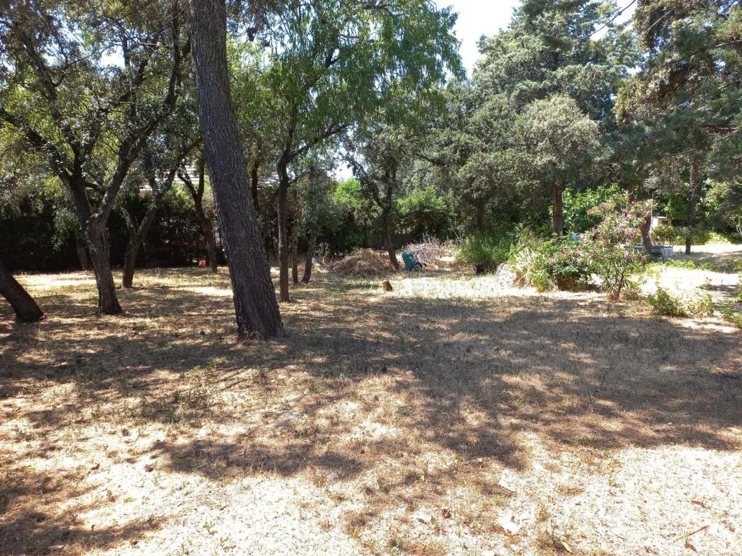 Terreno en venta en Cotos de Monterrey, Madrid photo 5