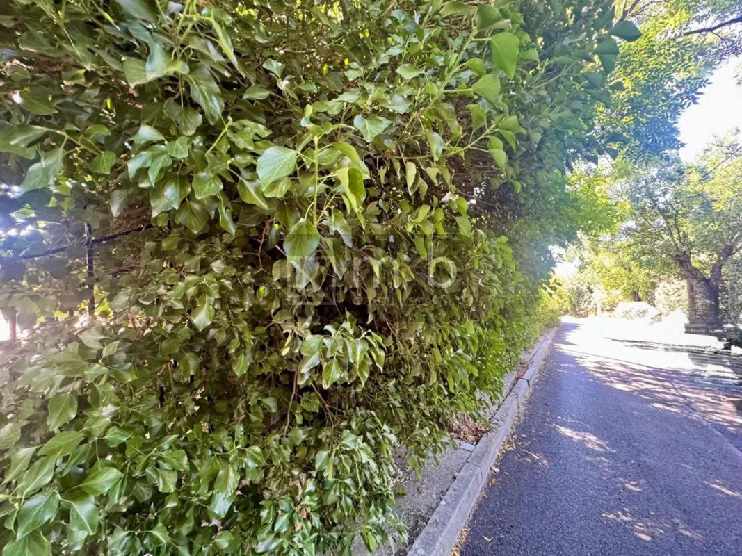 Land for sale in Miraflores de la Sierra, Madrid photo 4
