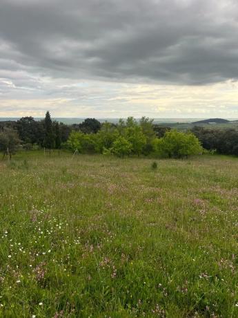 Terreno en calle Molar, 1 photo 3