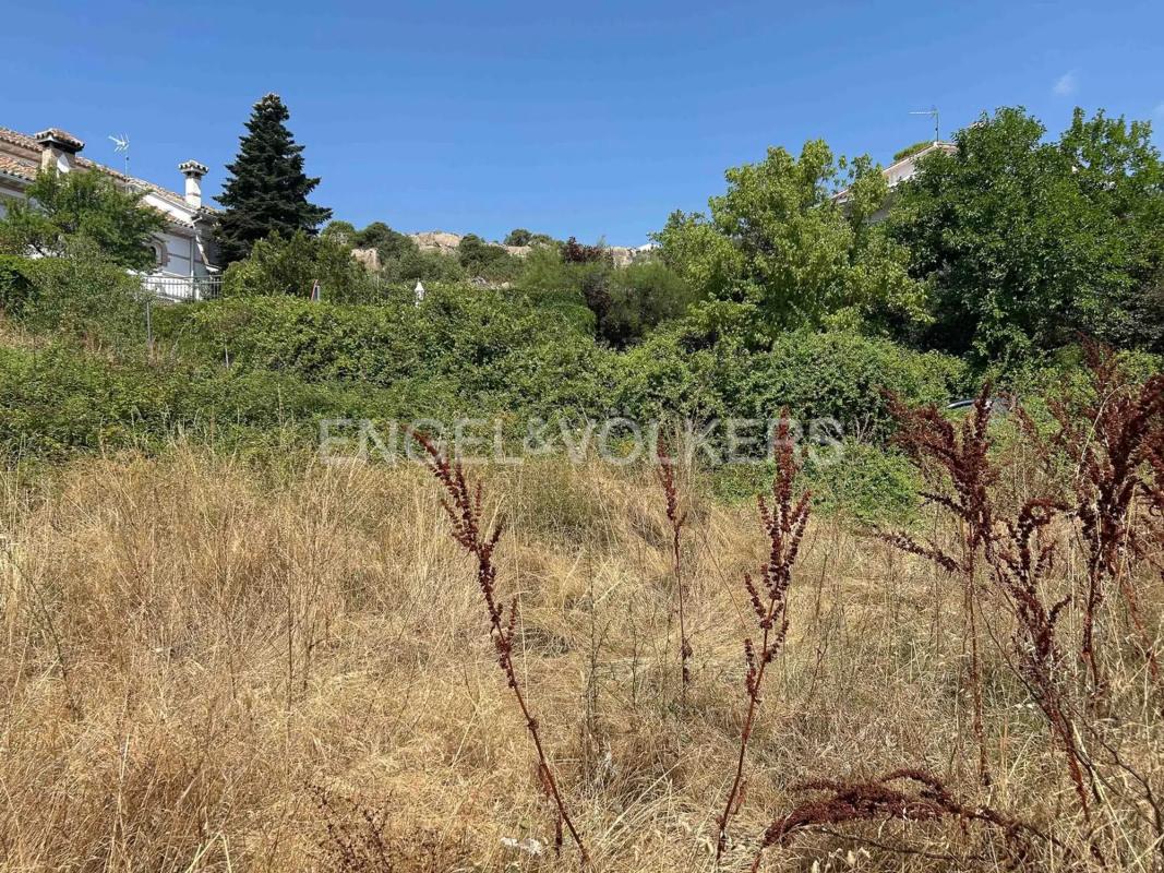 Terreno en venta en Manzanares el Real, Madrid photo 5