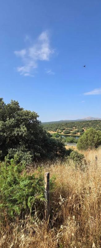 Terreno en venta en Guadalix de la Sierra, Madrid photo 1