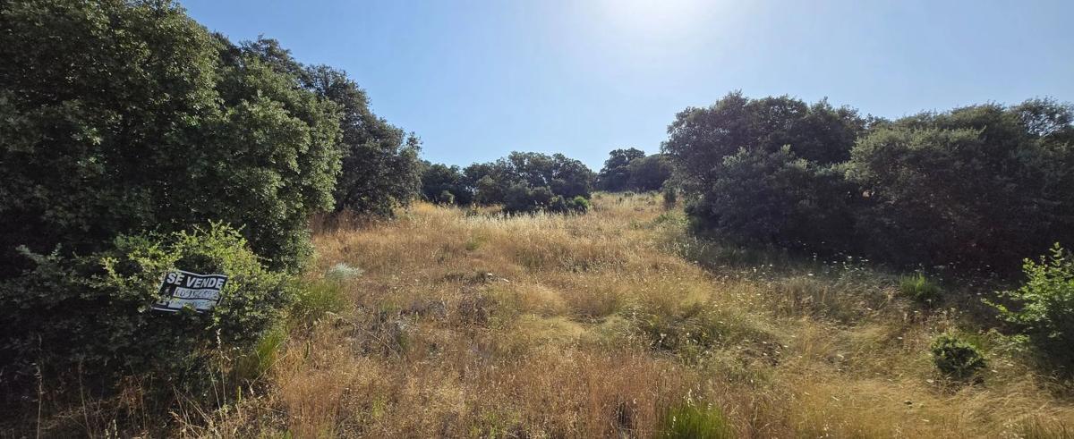 Terreno en venta en Guadalix de la Sierra, Madrid photo 2
