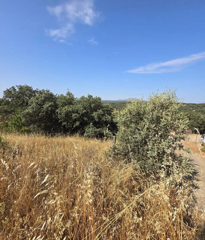 Terreno en venta en Guadalix de la Sierra, Madrid photo 4