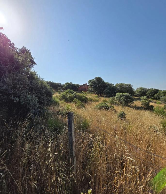 Terreno en venta en Guadalix de la Sierra, Madrid photo 5