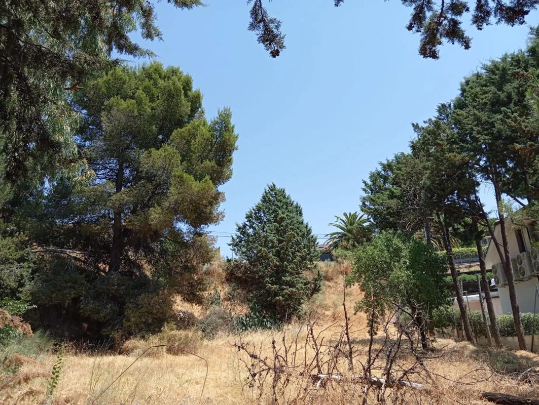 Terreno en venta en Paracuellos de Jarama, Madrid photo 3