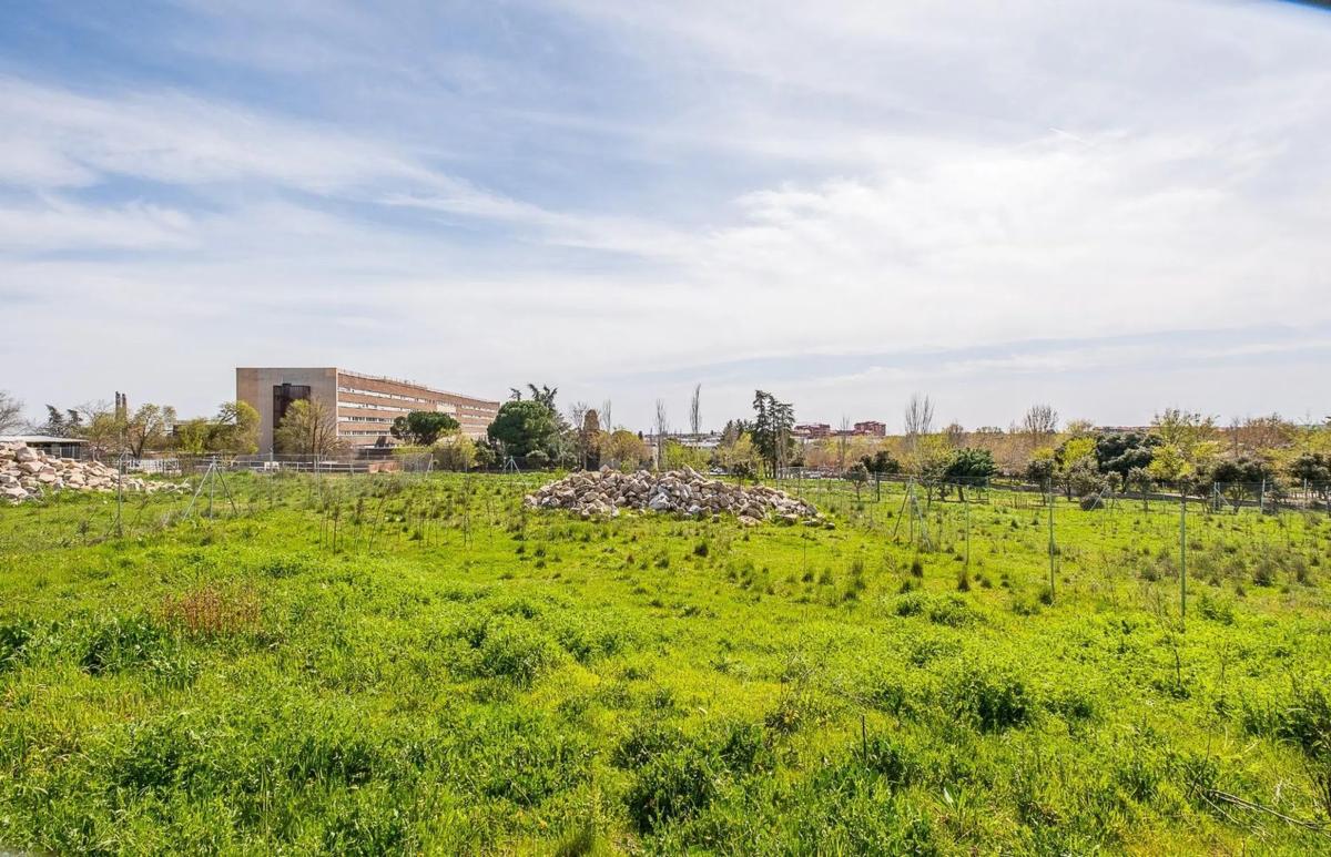 Terreno en venta en Colmenar Viejo, Madrid photo 3