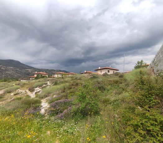 Terreno en Laguna, 18 photo 1