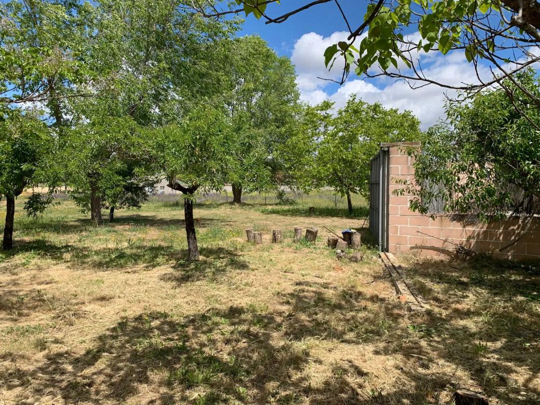 Land for sale in Algete, Madrid photo 2