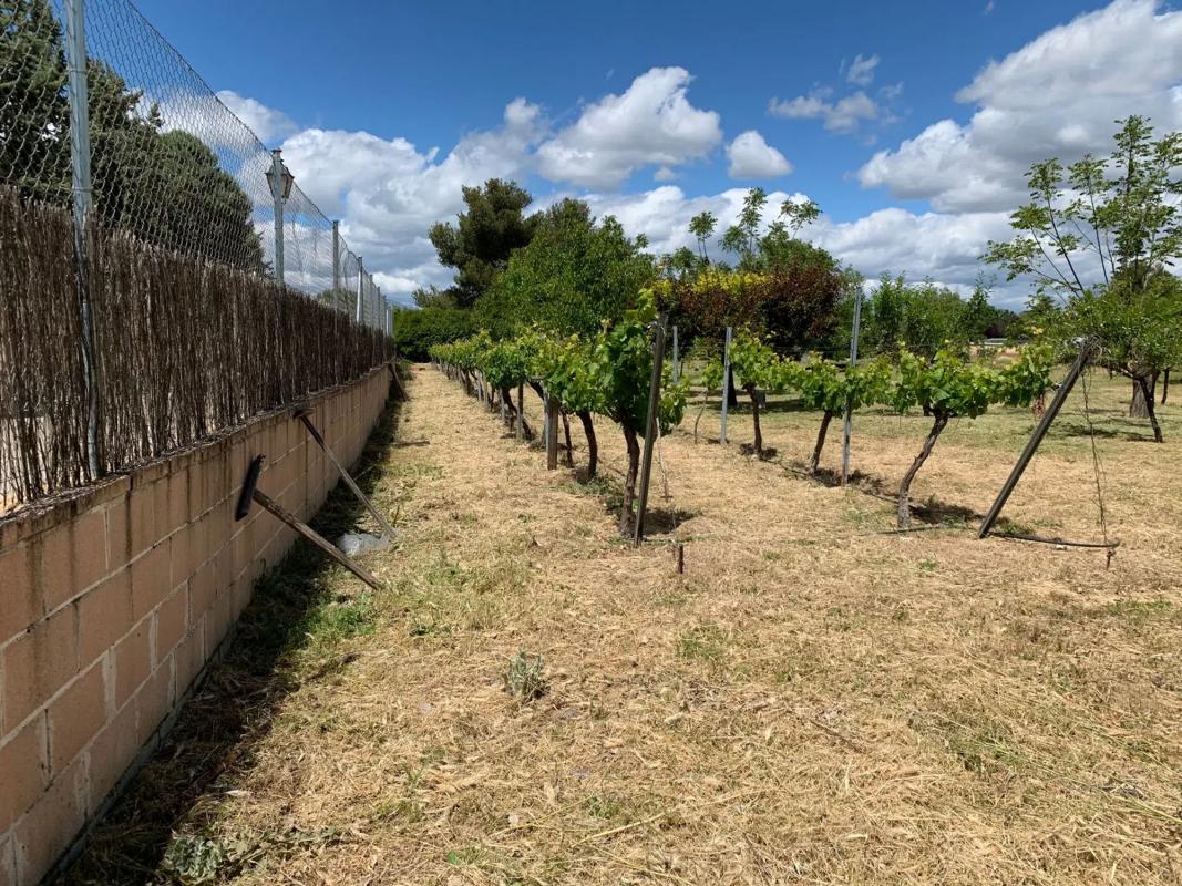 Land for sale in Algete, Madrid photo 3