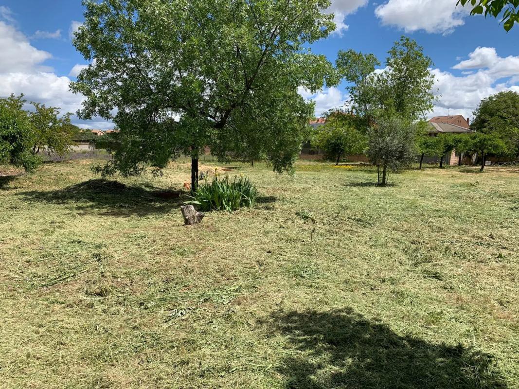 Land for sale in Algete, Madrid photo 5