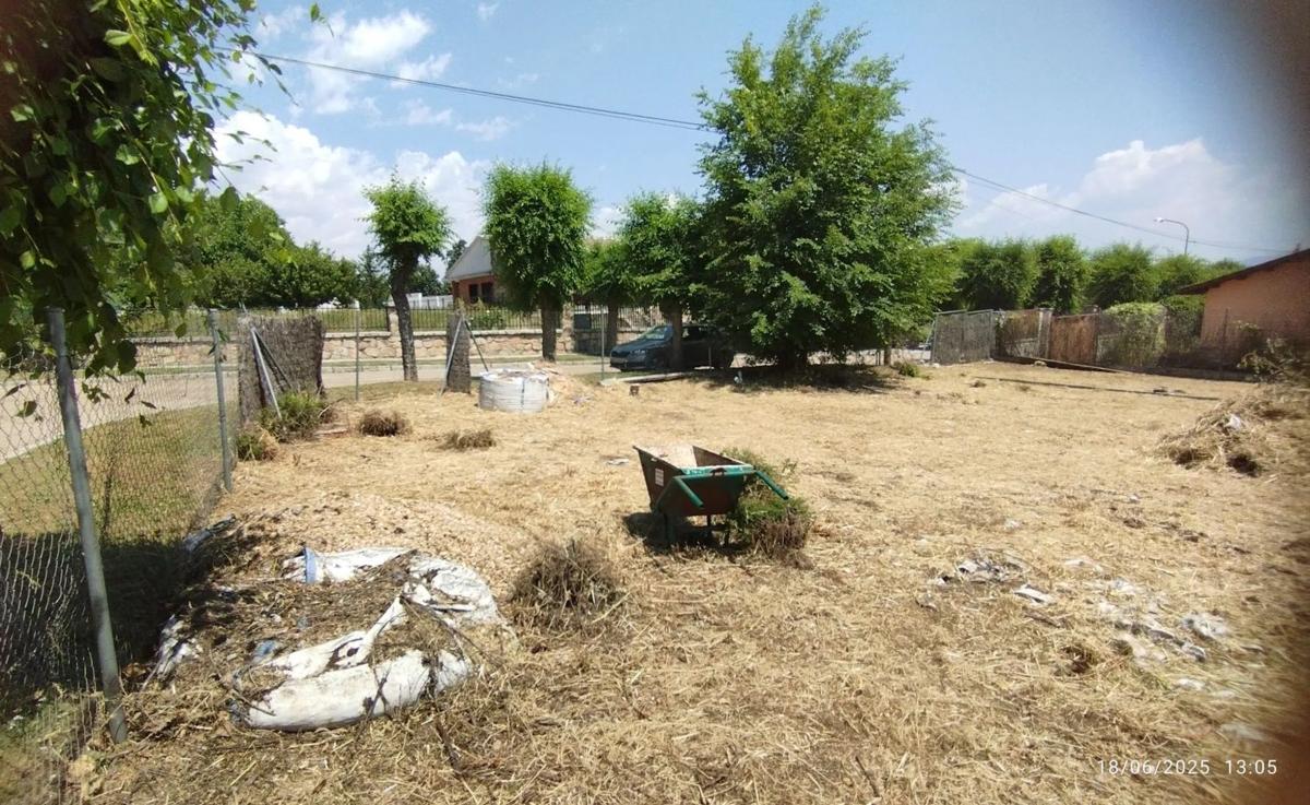 Terreno en venta en Lozoyuela-Navas-Sieteiglesias, Madrid photo 3