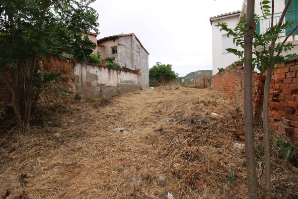Terreno en Torrelaguna photo 4