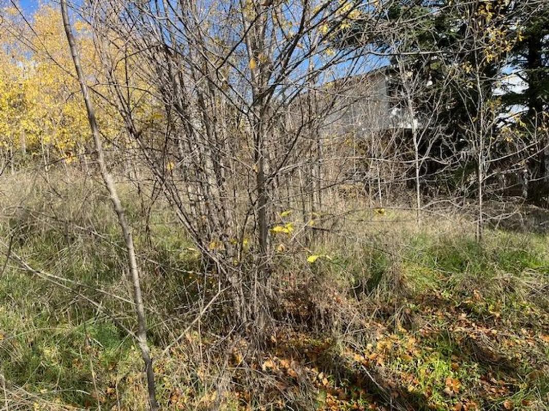 Terreno en venta en Miraflores de la Sierra, Madrid photo 4