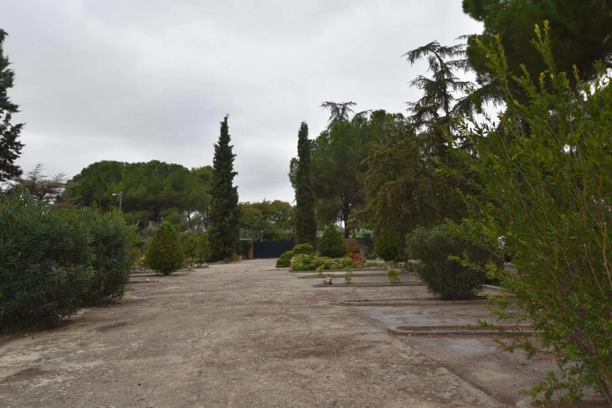 Terreno en venta en Fuente el Saz de Jarama, Madrid photo 4