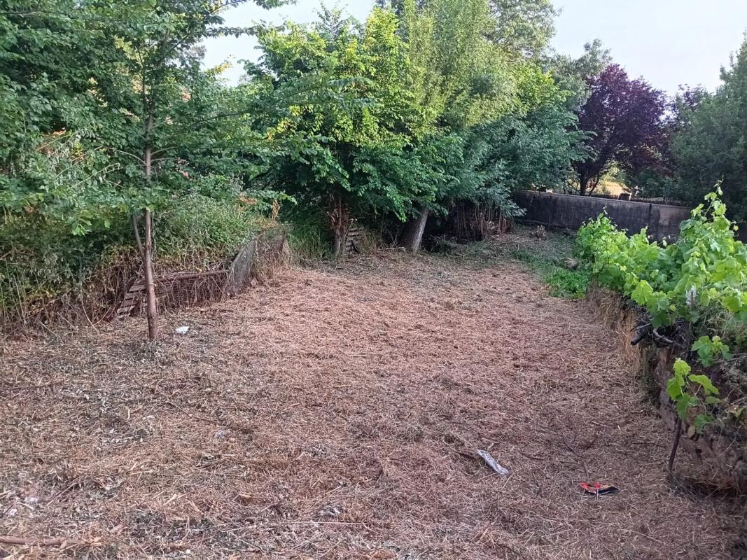 Terreno en venta en Berzosa del Lozoya, Madrid photo 1