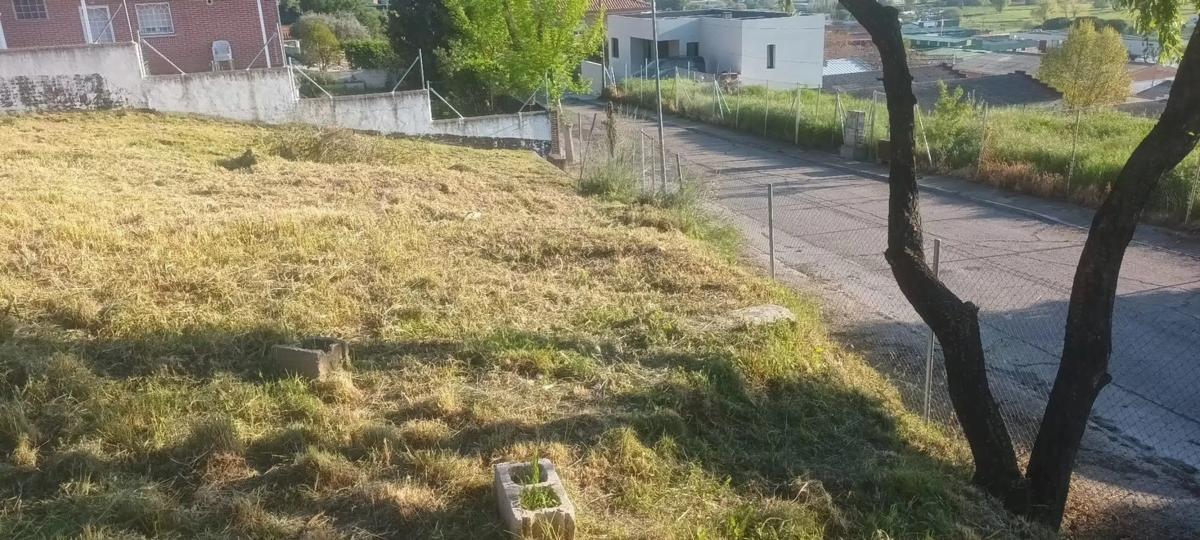 Участок земли на продажу в Паракуэльос-де-Харама, Мадрид photo 5