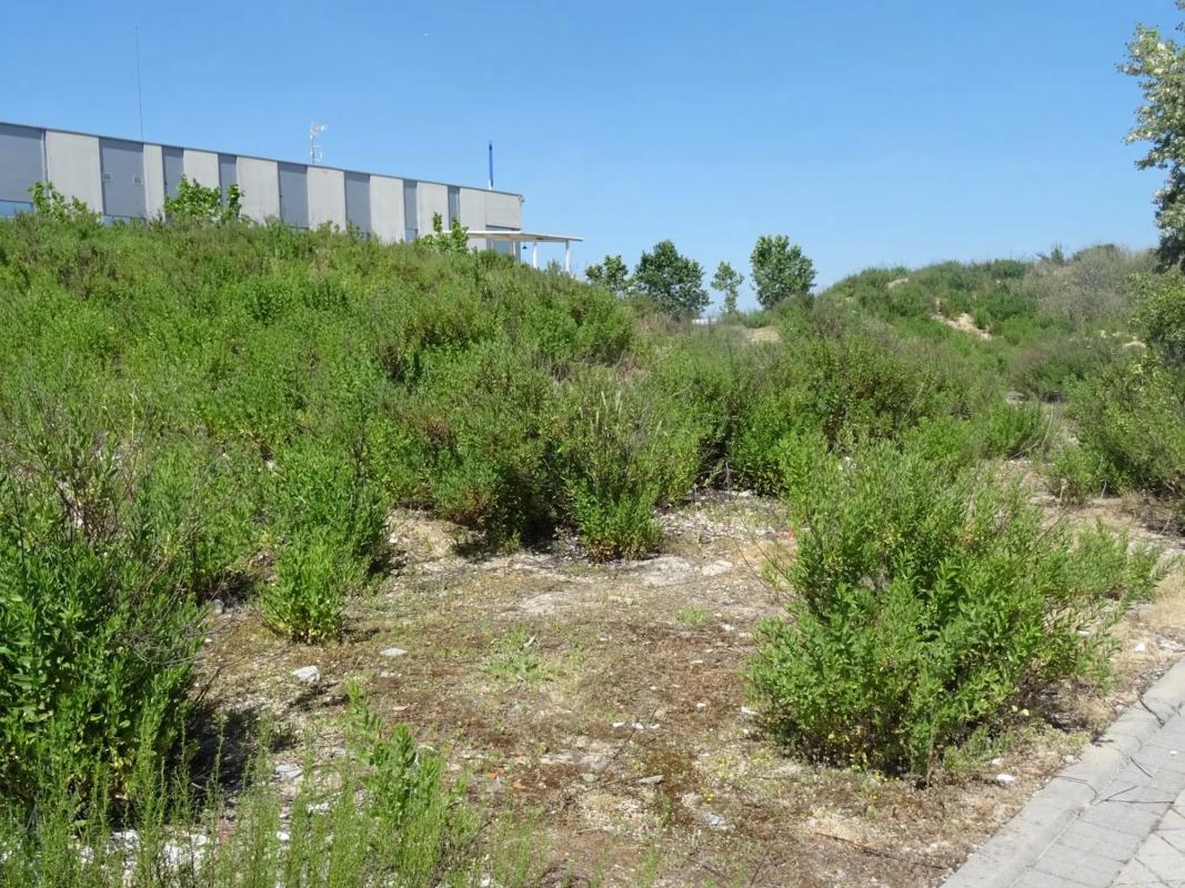 Terreno en venta en Tres Cantos, Madrid photo 3