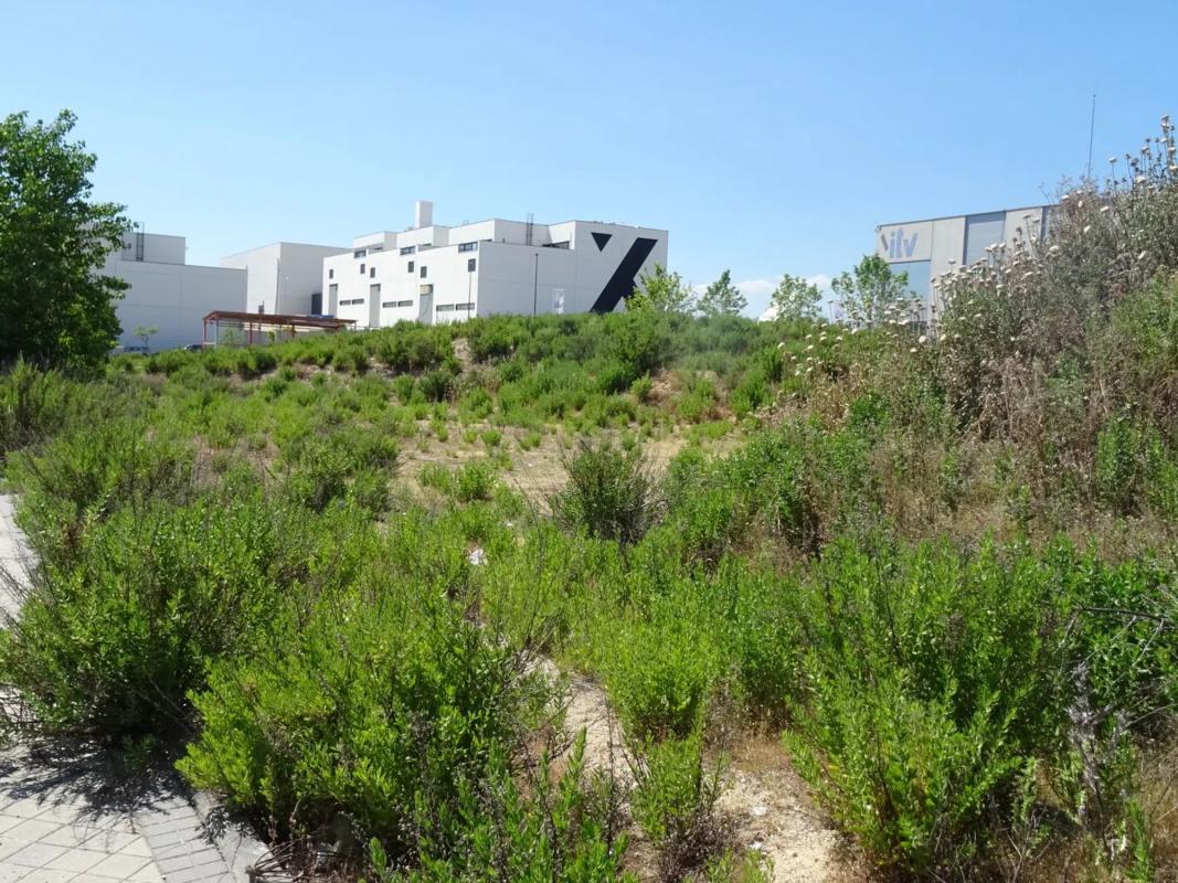 Terreno en venta en Tres Cantos, Madrid photo 5