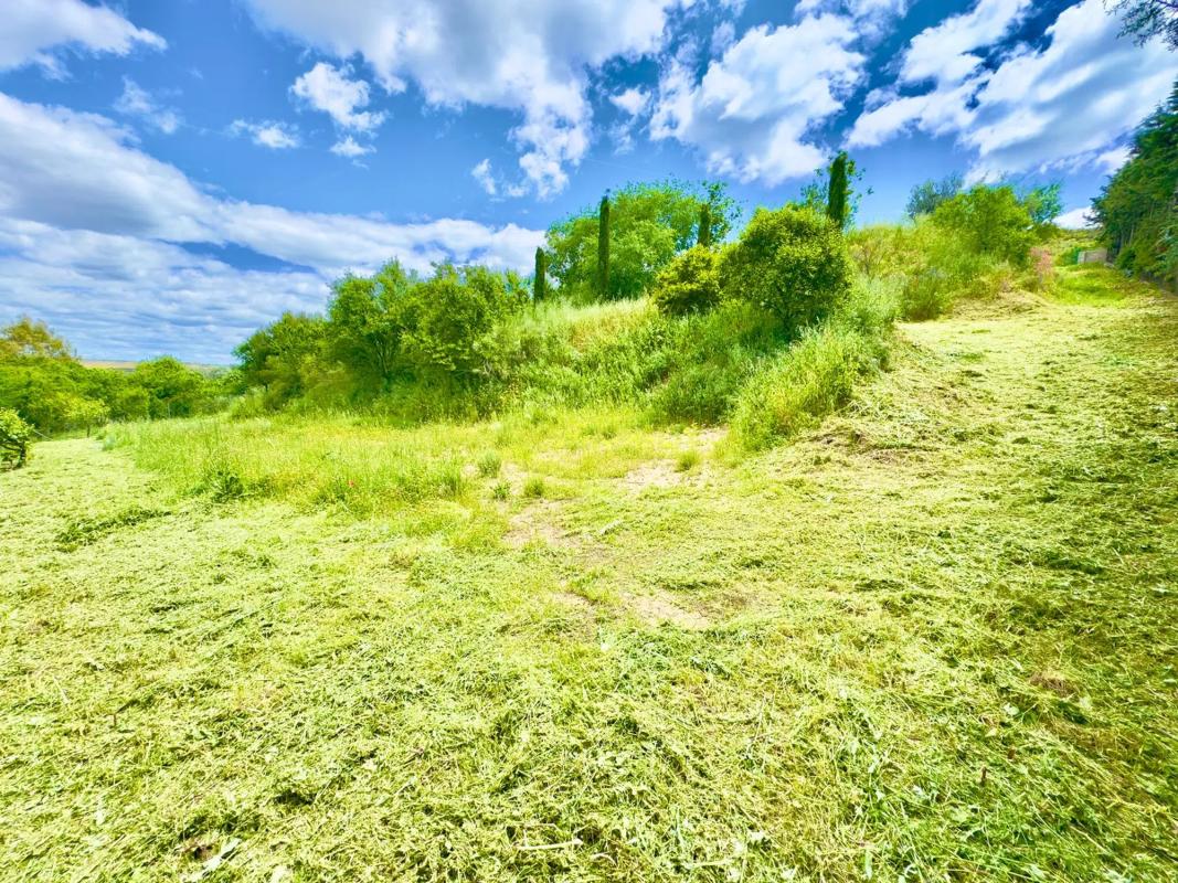 Land for sale in Valdeavero, Madrid photo 5