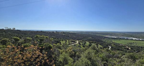 Terreno en San Agustin de Guadalix photo 1