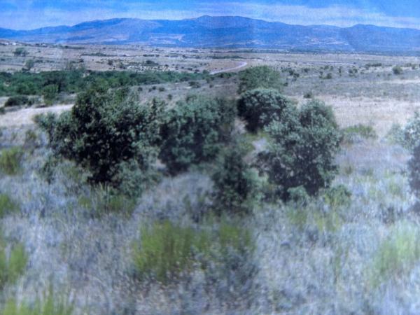 Terreno en Pol. Las Gabias , Ctra A1, Kmt 69 s/n thumbnail 1